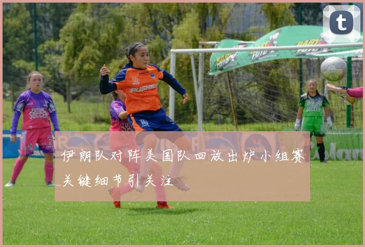 伊朗队对阵美国队回放出炉小组赛关键细节引关注