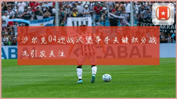 沙尔克04迎战汉堡争夺关键积分战况引发关注