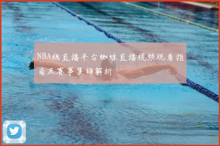 NBA线直播平台蜘蛛直播视频观看指南及赛事集锦解析
