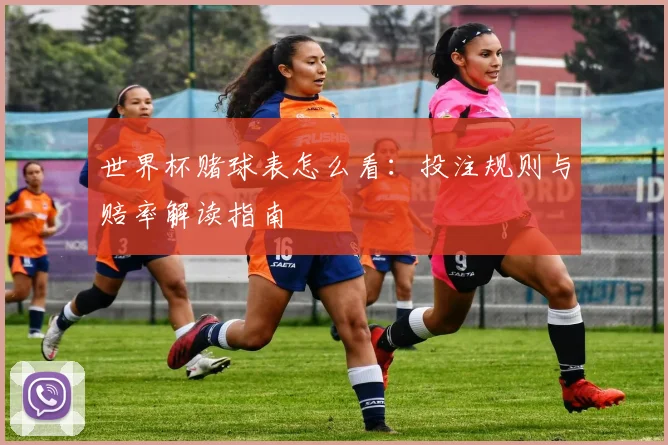 世界杯赌球表怎么看：投注规则与赔率解读指南